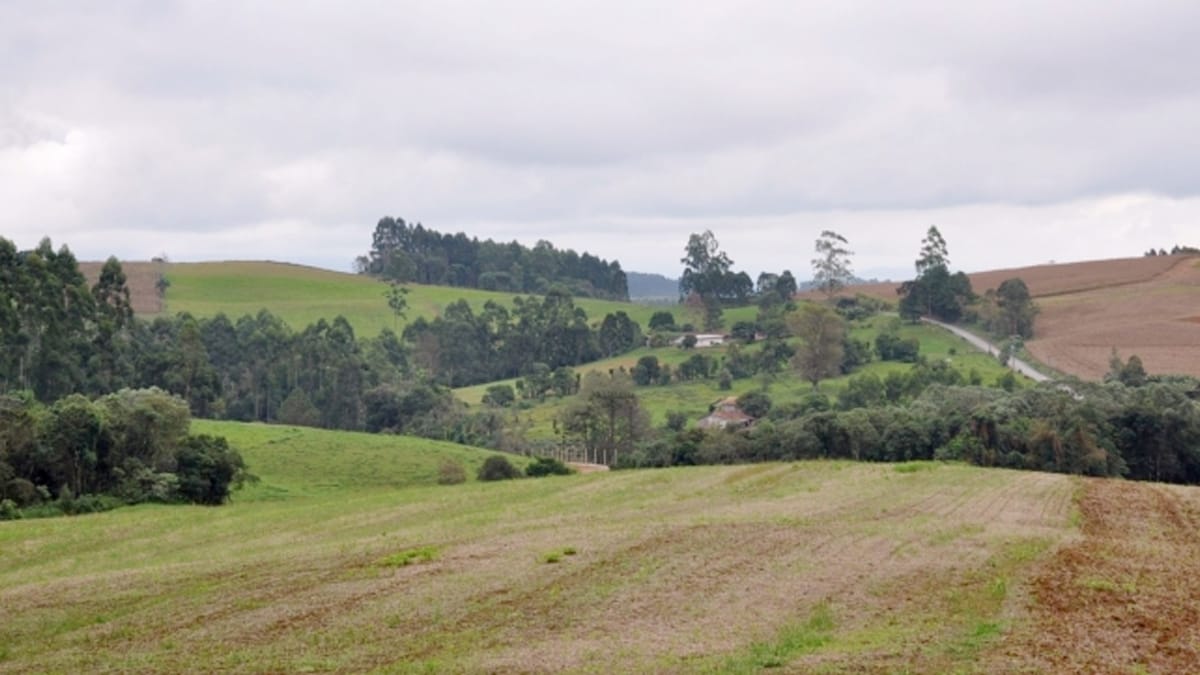 Brazil Land Use Dialogues