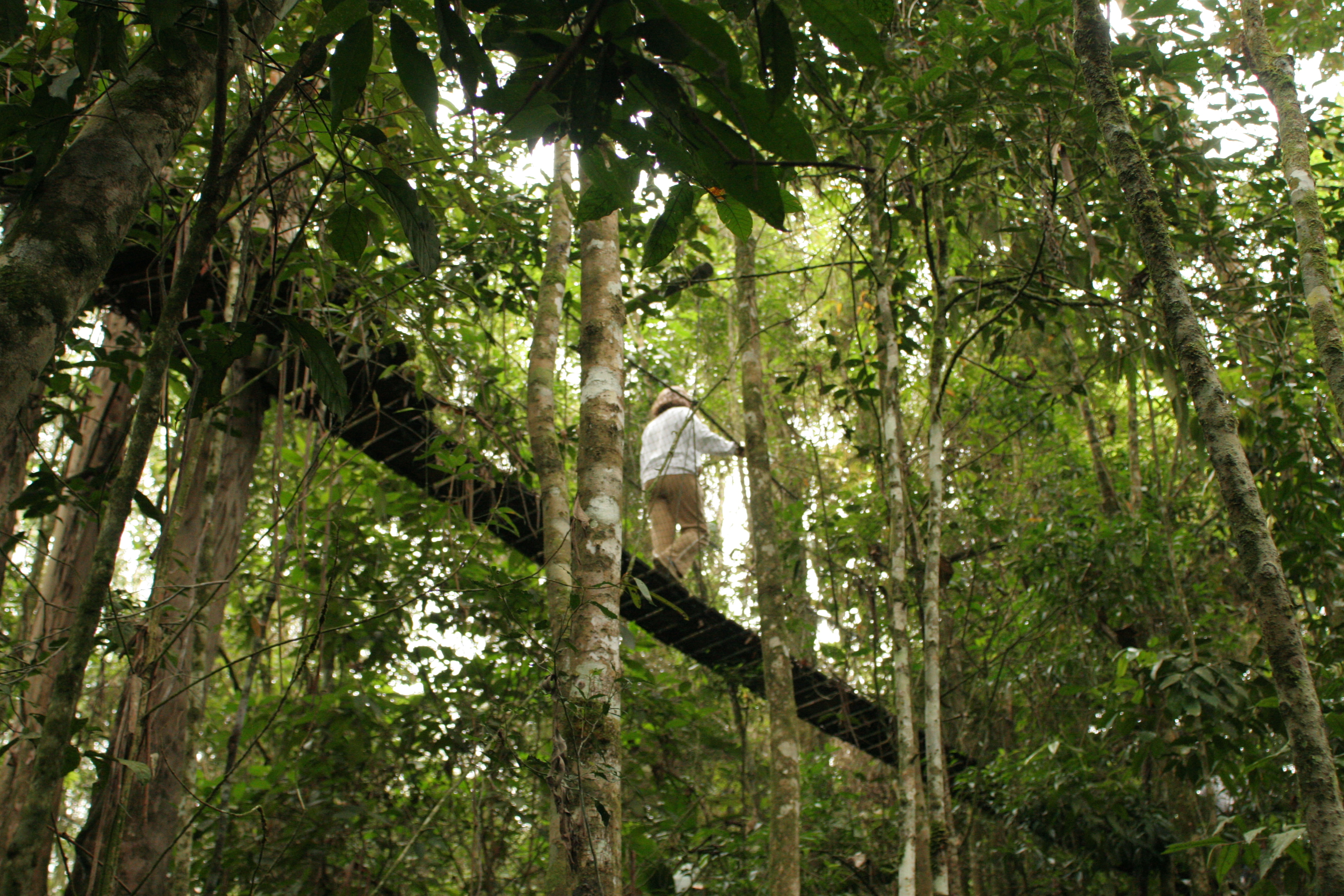 Second Regional Dialogue on Forests and Biodiversity Conservation in Brazil