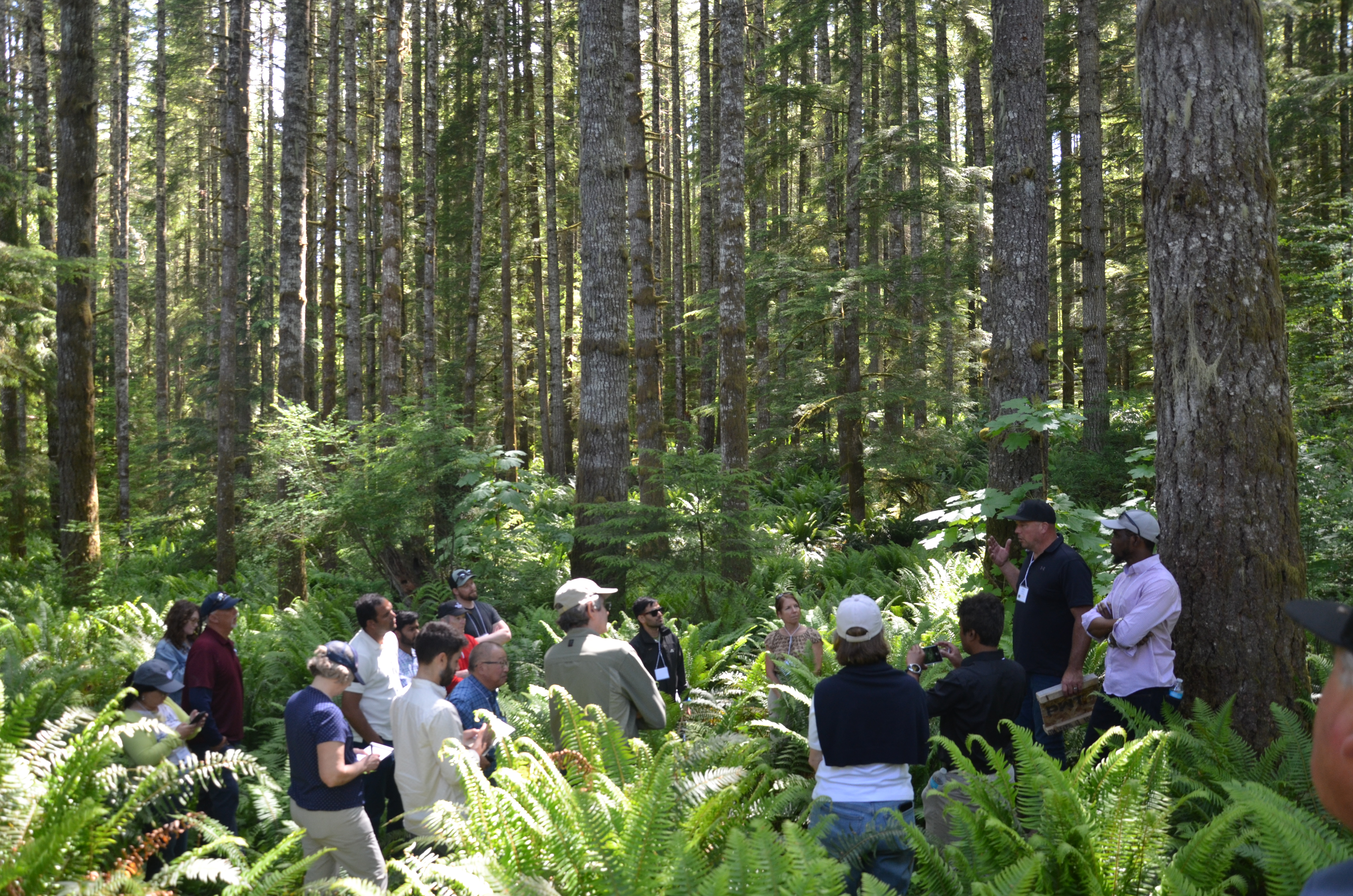 Dialogue participants at Port Blakely field site.