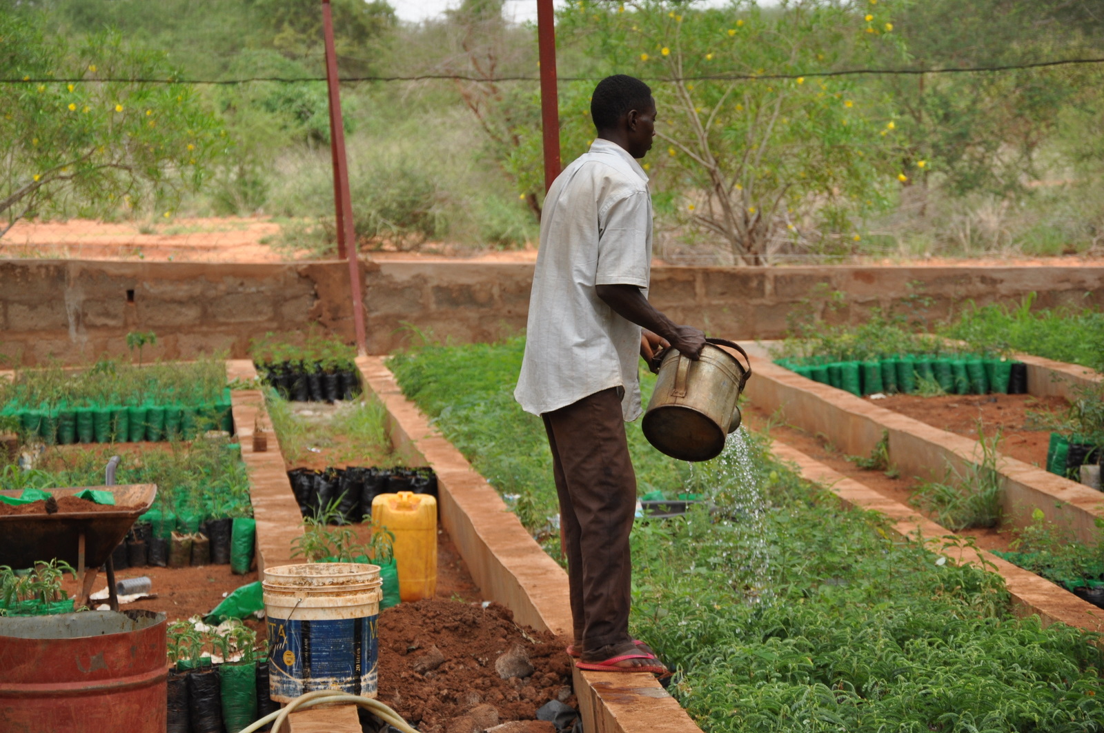 Field Dialogue on ILCF in Kenya 