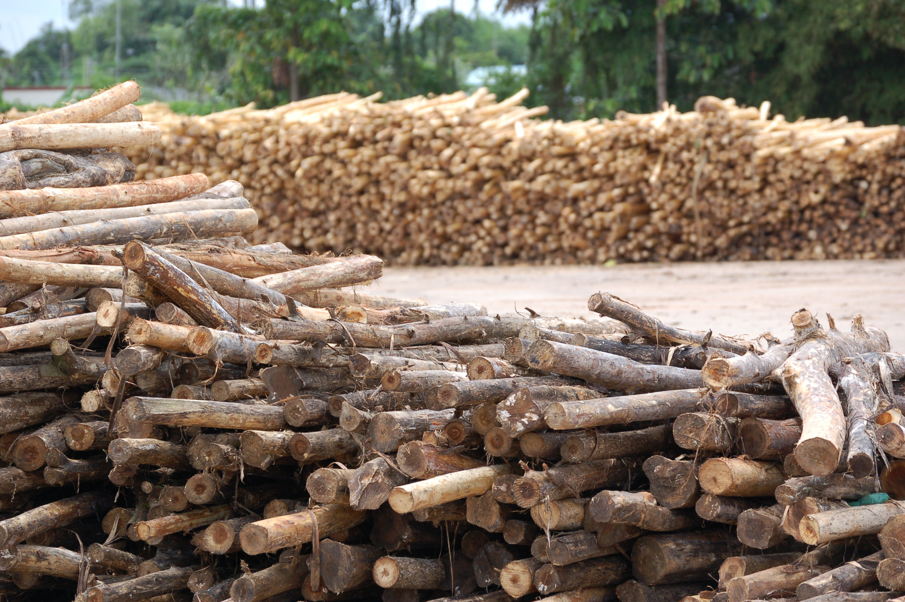 Dialogue on Forest Certification in Switzerland