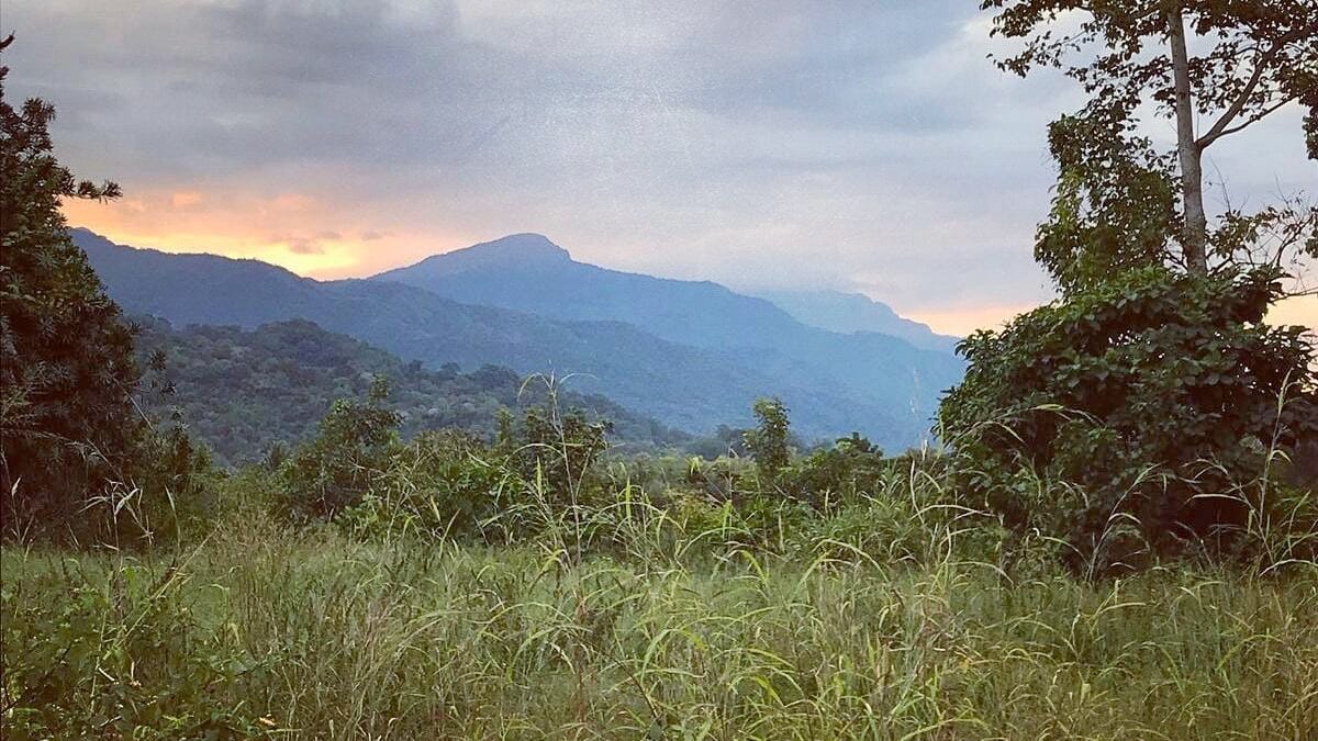 Kilombero Landscape, Tanzania Land Use Dialogue