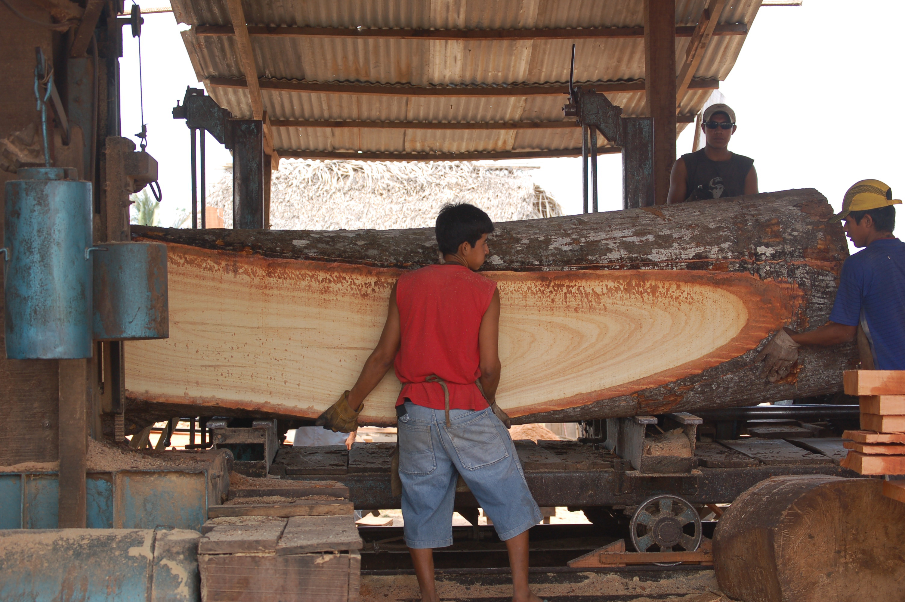 Dialogue on Pro-Poor Commercial Forestry in Bolivia