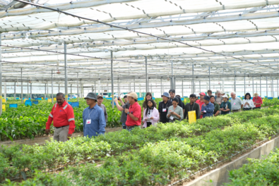 Tree Plantations in the Landscape and the Community: TPL Dialogue in ...