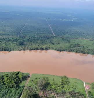 Tree Plantations in the Landscape and the Community: TPL Dialogue in ...