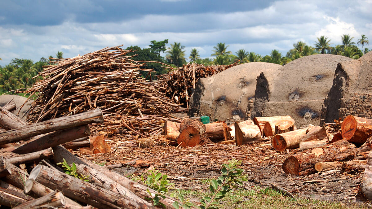 Sustainable Wood Energy (SWE) | The Forests Dialogue