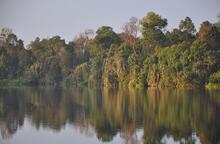 A forested lake in Indonesia
