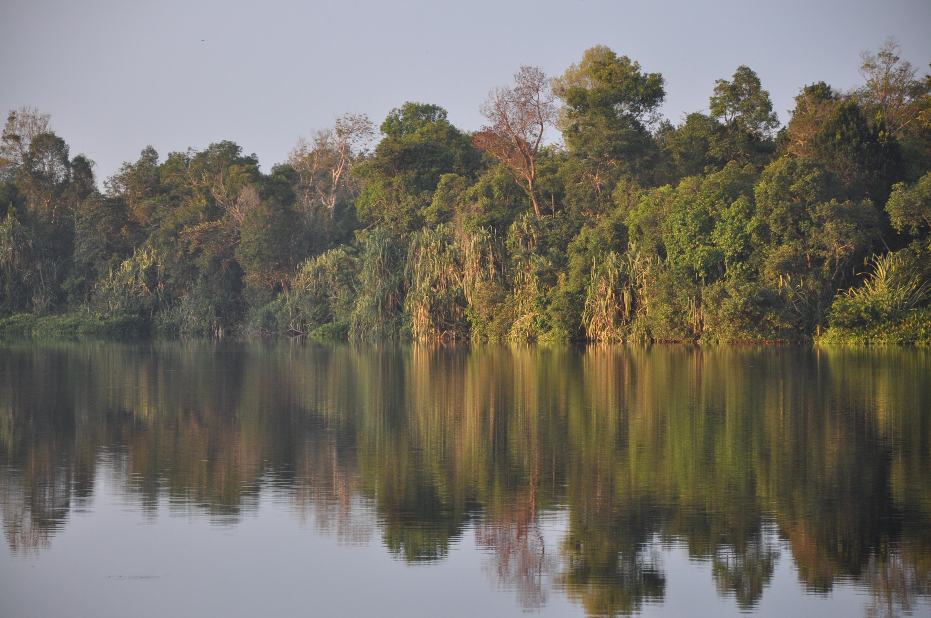 Mini-Dialogue on Changing Outlooks for Food, Fuel, Fiber and Forests (4Fs) in Indonesia - The case of Central Kalimantan